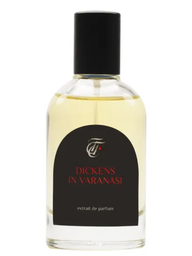 Dickens in Varanasi