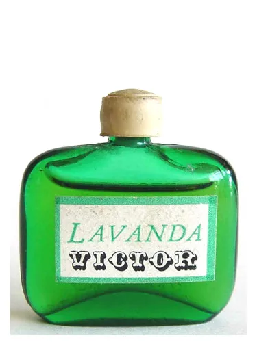 Lavanda