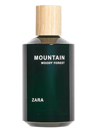 Mountain Woody Forest