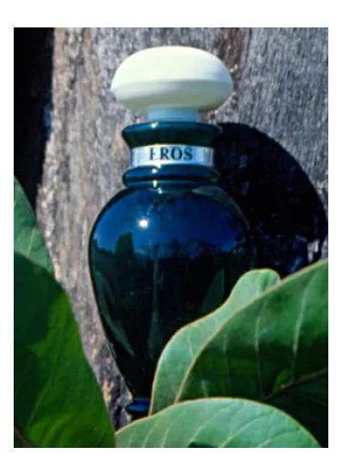 Eros