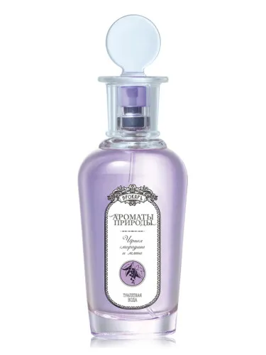 Chernaya smorodina i myata - Black currant and Mint