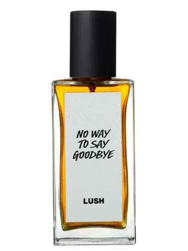 No Way To Say Goodbye