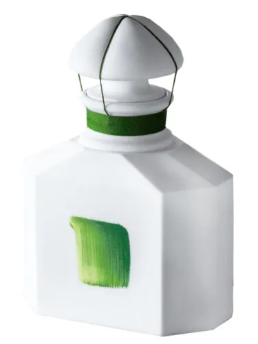 Souvenir d'Orchidée