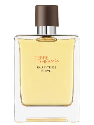 Terre D'Hermes Eau Intense Vetiver