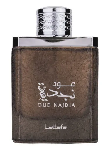 Oud Najdia