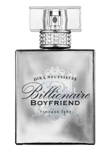Billionaire Boyfriend
