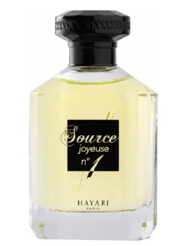 Source Joyeuse No1