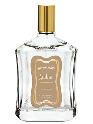Âmbar