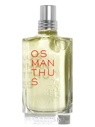 Osmanthus