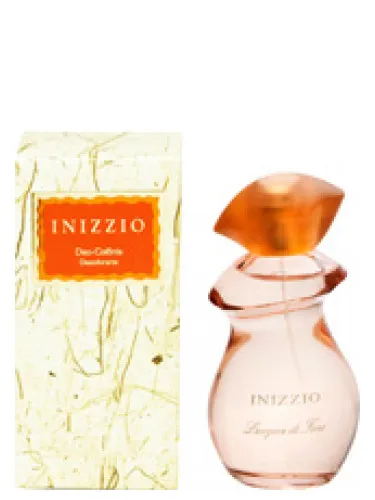 Inizzio