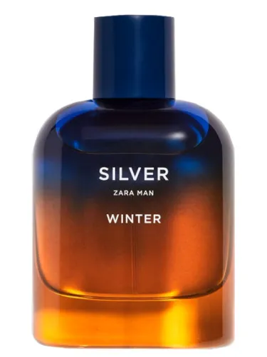 Silver Winter Zara Man