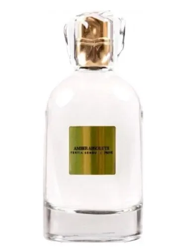 Amber Absolute