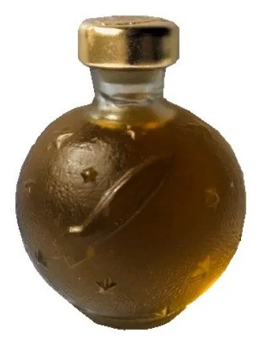 V Kosmos (Into Space)