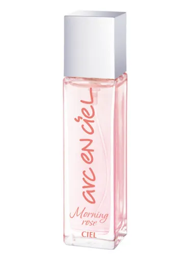 Arc-en-Ciel Morning Rose