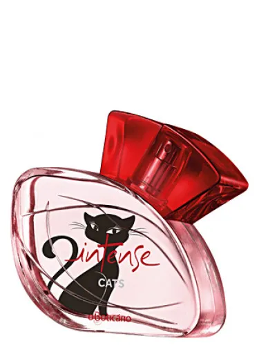 Intense Cats