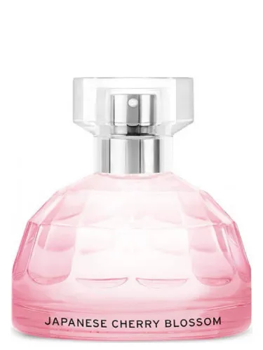 Japanese Cherry Blossom