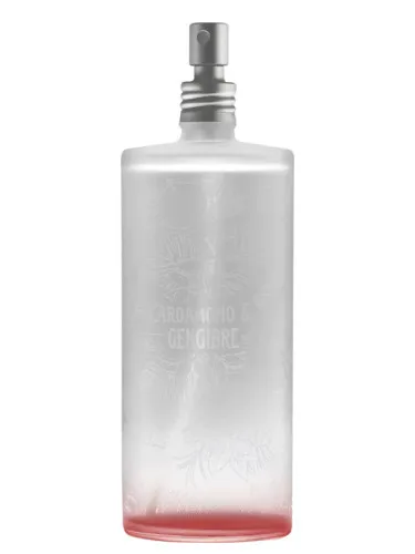 Cardamomo & Gengibre