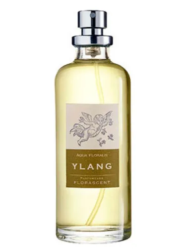 Ylang