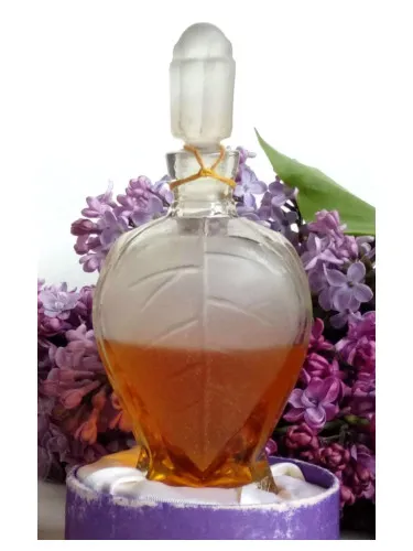 Rīgas cēriņi (Rizhskaya siren)