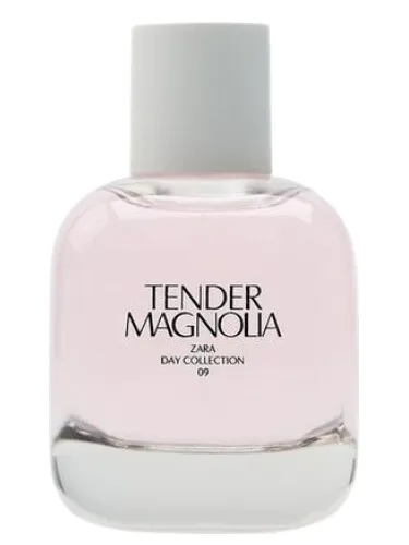Tender Magnolia