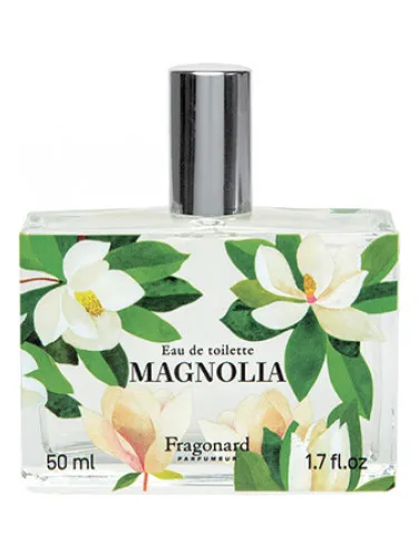 Magnolia