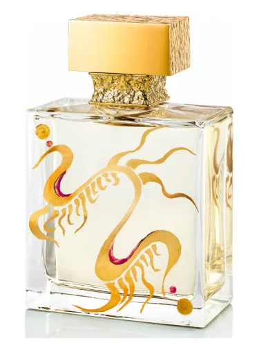 Pure Extreme Art Collection Capsule 2019