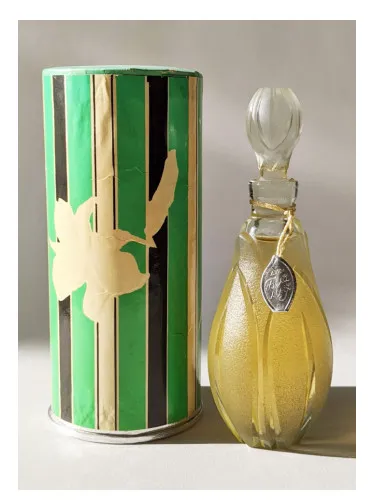 Belaya liliya - White lily