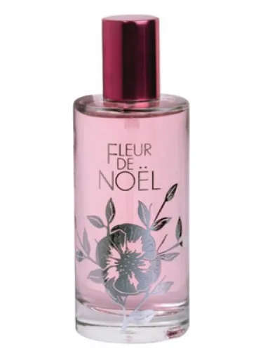 Fleur de Noel