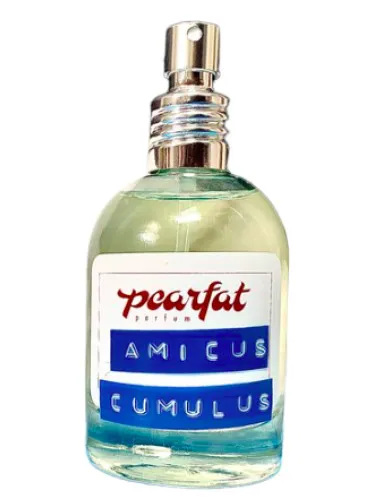 Amicus Cumulus