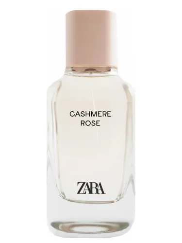 Cashmere Rose