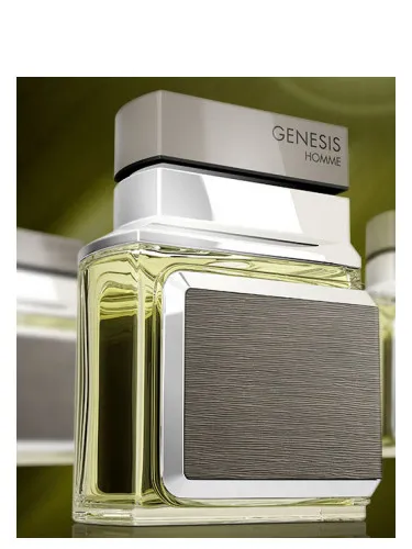 Genesis Homme