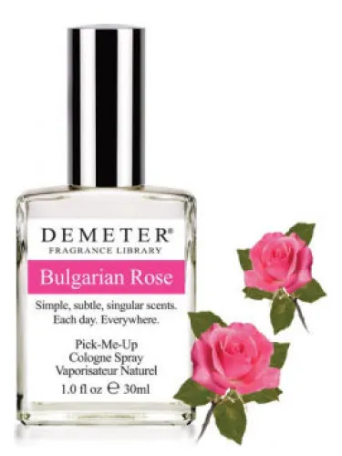 Bulgarian Rose