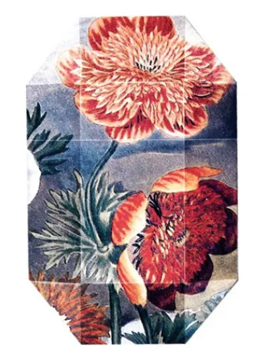 Print Collection Stella 03 (2011)