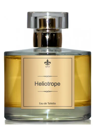 Heliotrope