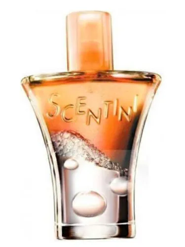 Scentini Citrus Chill