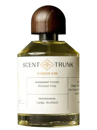 Simmer Dim