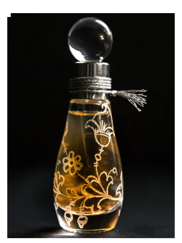 Gift of The Sun Dar Solntsa