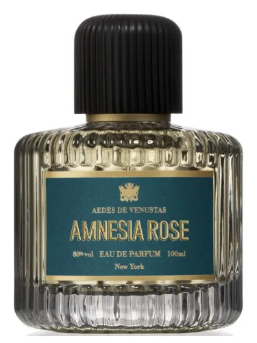 Amnesia Rose