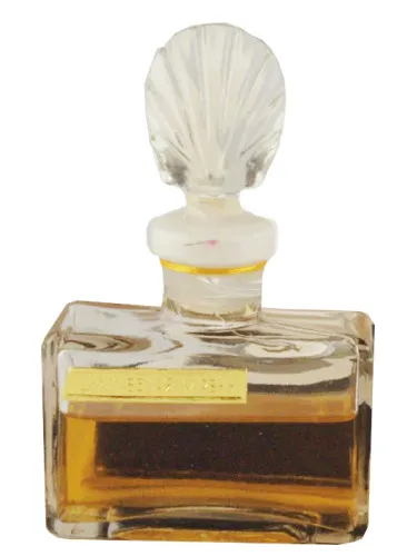 Belaya siren (White Lilac)