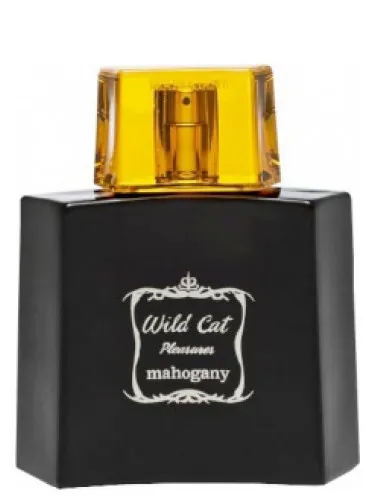 Wild Cat