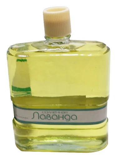 Solnechnaya lavanda (Sunny Lavender)