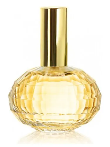 Memories Daydreaming in a Hammock