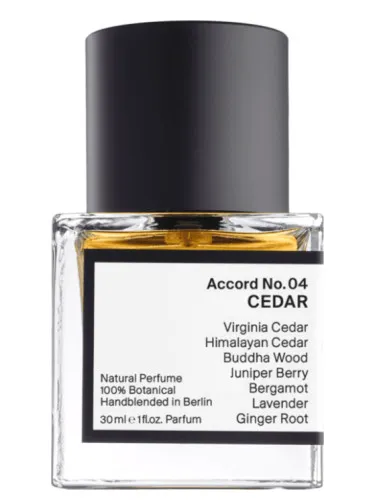 Accord No. 04: Cedar