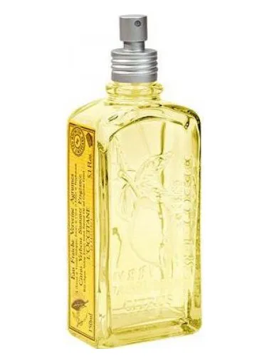 Citrus Verbena Summer