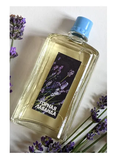 Gornaya lavanda (Mountain Lavender)