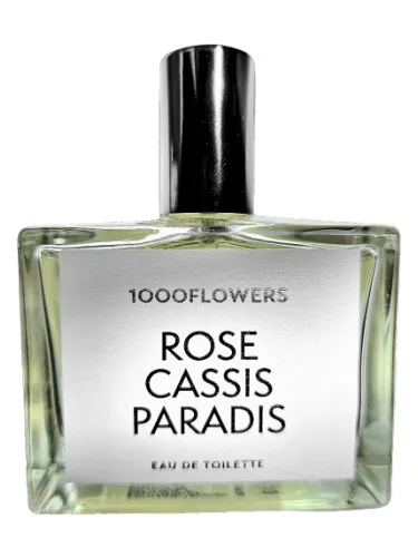 Rose Cassis Paradis