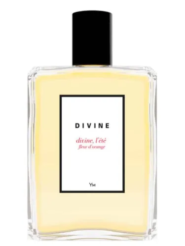 Divine, l'été fleur d'orange