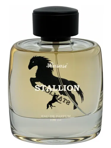 Stallion