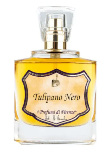 Tulipano Nero