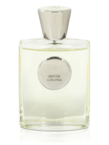Mister Colonia